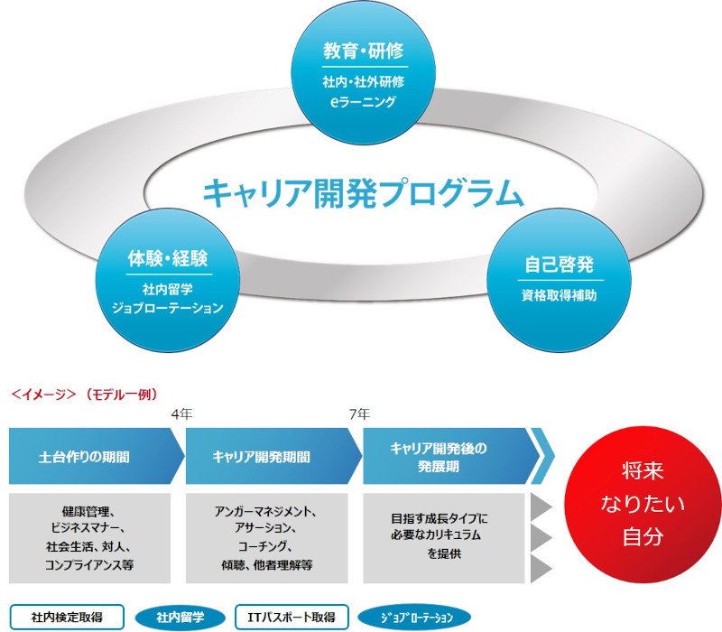 キャリア開発プログラムの図版